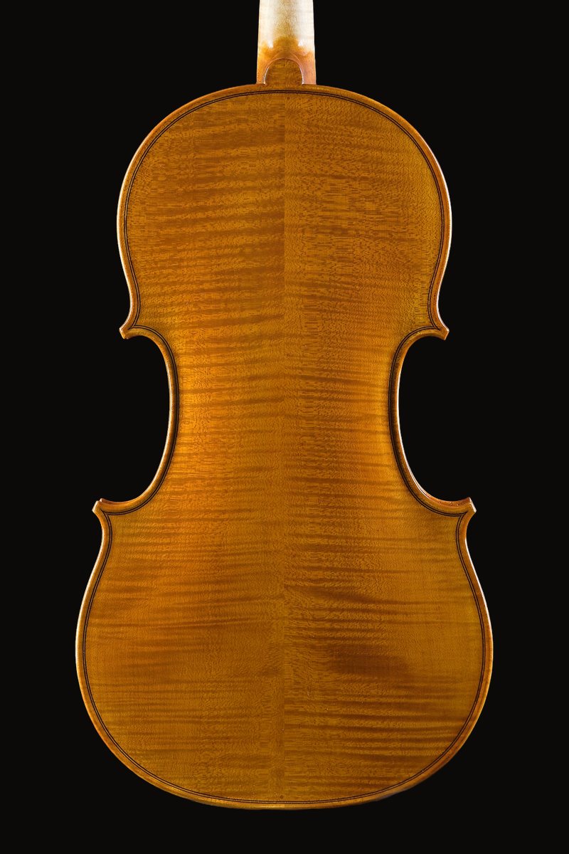 Viola 15.5 inch, back