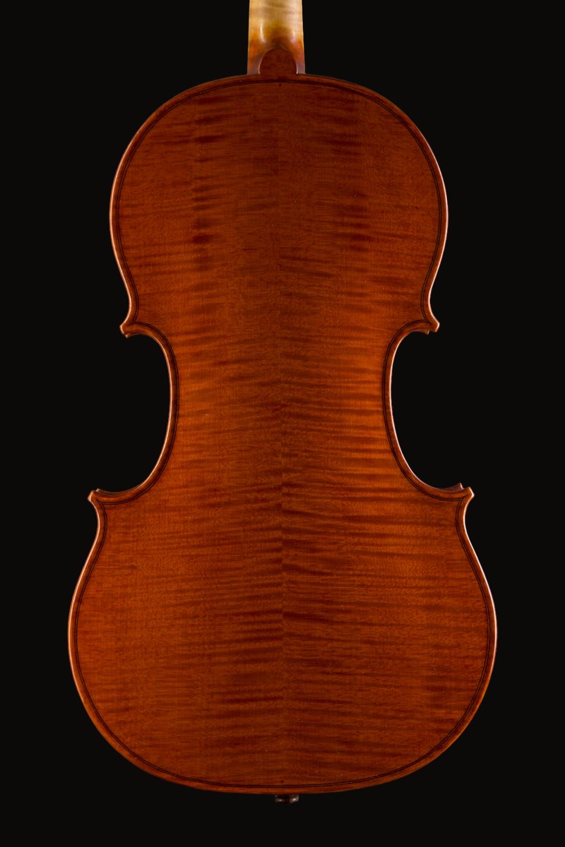 Viola 16 inch, back